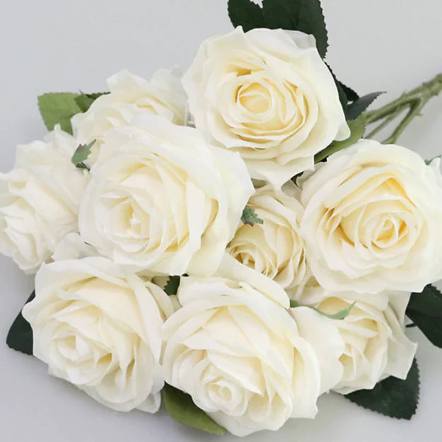 BOUQUET DE ROSES - 10 PCS - IVOIRE